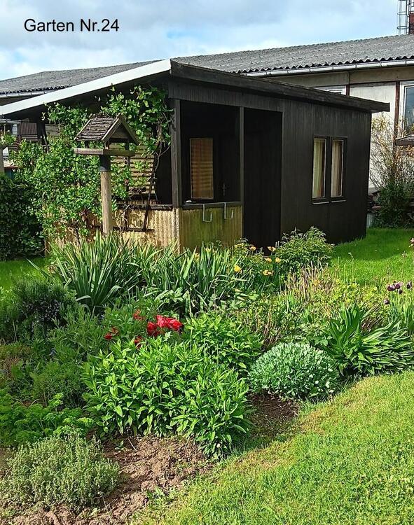 Thumbnail-Kleingarten zu verpachten - KGV „Blütenpracht Dürrweitzschen