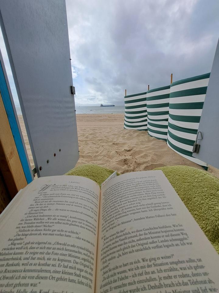 Thumbnail-Ferienhaus in Zeeland direkt hinter den Dünen