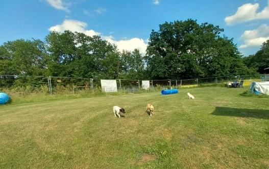 Thumbnail-Ferienhaus Meinerzhagen 100 m², Hund(e) kostenlos