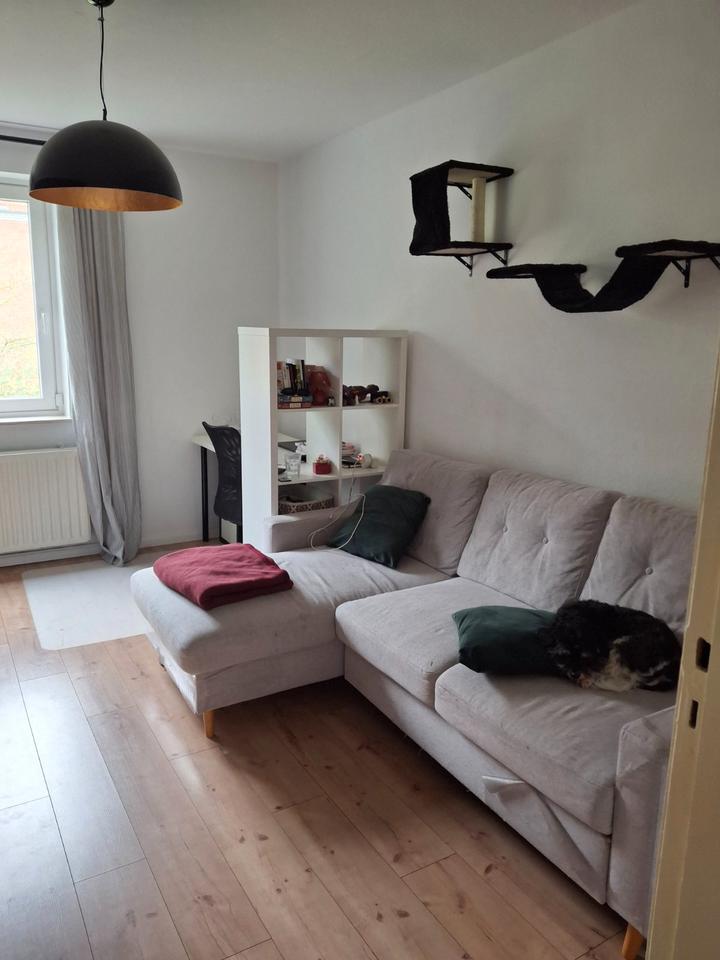 Thumbnail-3 Room Fully Furnished Apartment, All Inclusive!