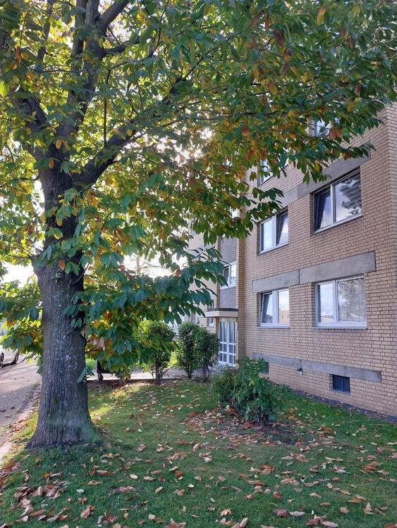 Thumbnail-2 Eigentumswohnungen in Kerpen-Sindorf im Leerstand zu verkaufen