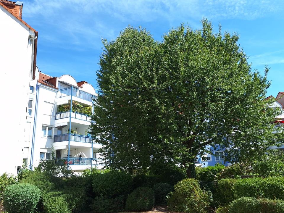 Thumbnail-3 Zi. ETW in Dietzenbach – Provisionsfrei – 7 Min. zur S-Bahn FFM