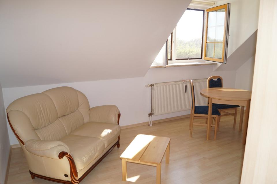 Thumbnail-Helle 1-Zimmer-Wohnung