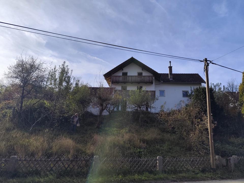 Thumbnail-Neu saniertes Einfamilienhaus in Landdau zum vermieten