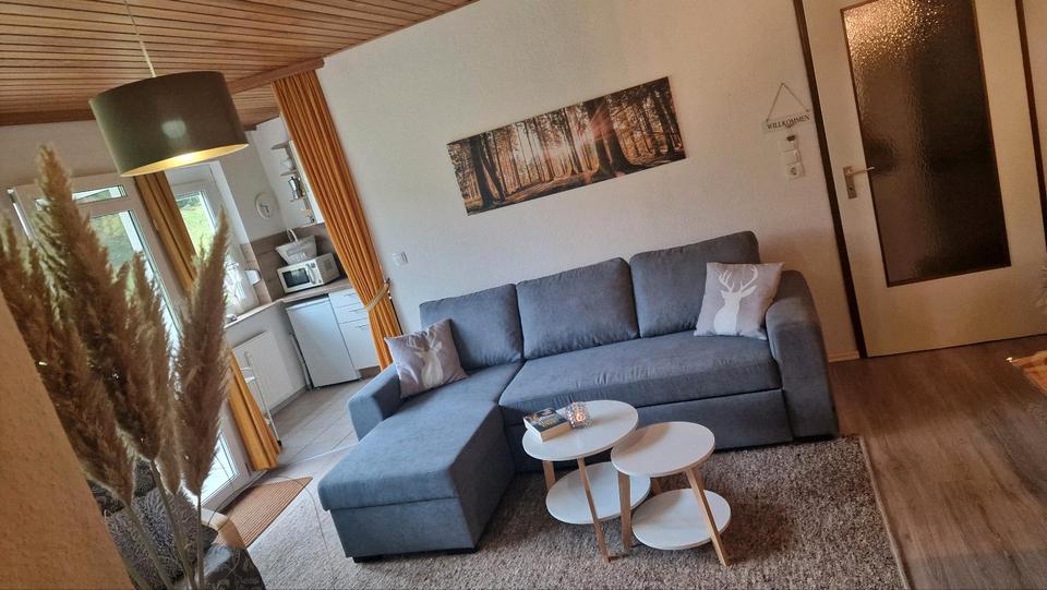 Thumbnail-Ferienwohnung Kleine Hexe in Altenau