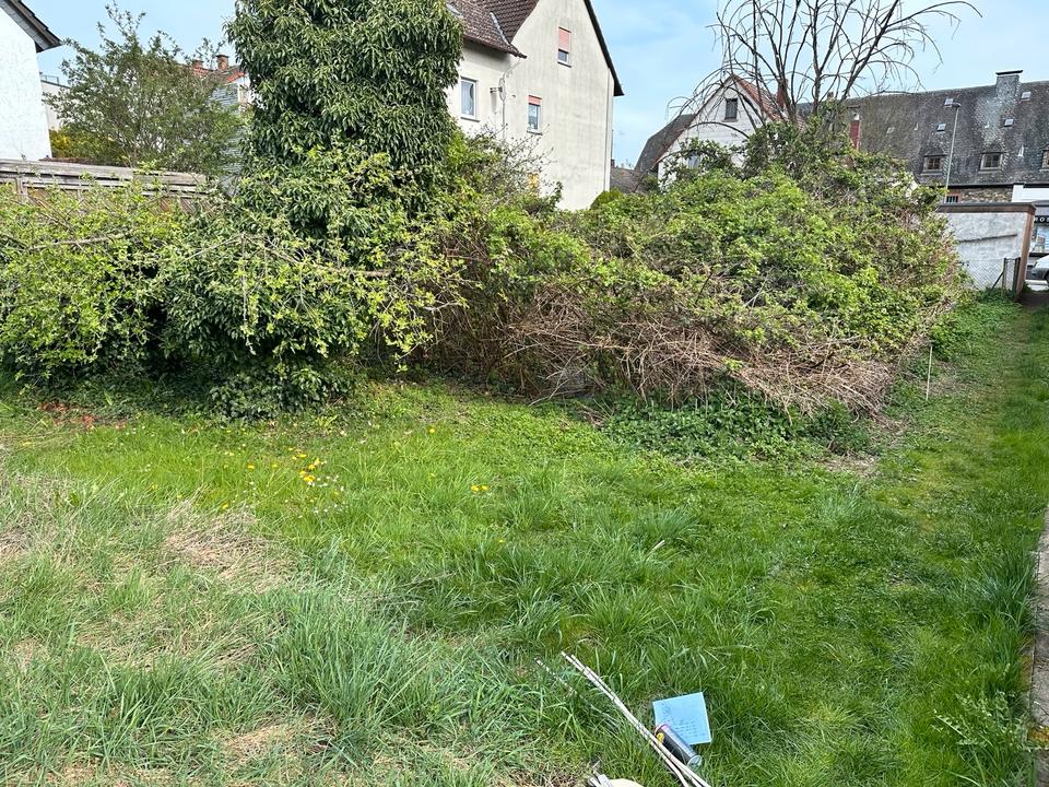 Thumbnail-Kleingarten Garten Bad Homburg Ober Erlenbach