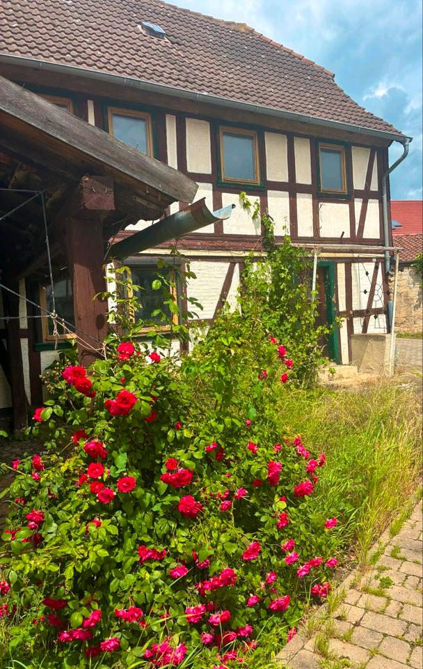 Thumbnail-Verkaufe Fachwerkhaus in 38822 Aspenstedt bei Halberstadt