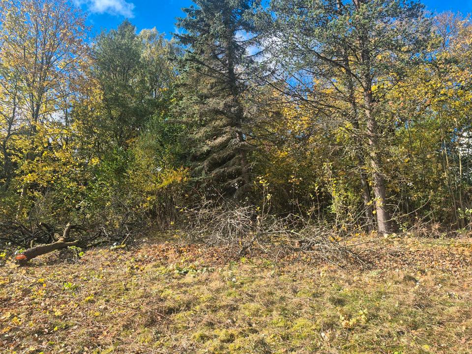 Thumbnail-Großes, erschlossenes Baugrundstück zu verkaufen