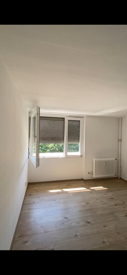 Thumbnail-1-Zimmer-Wohnung in Kehl ab 01.01.2026 zu vermieten