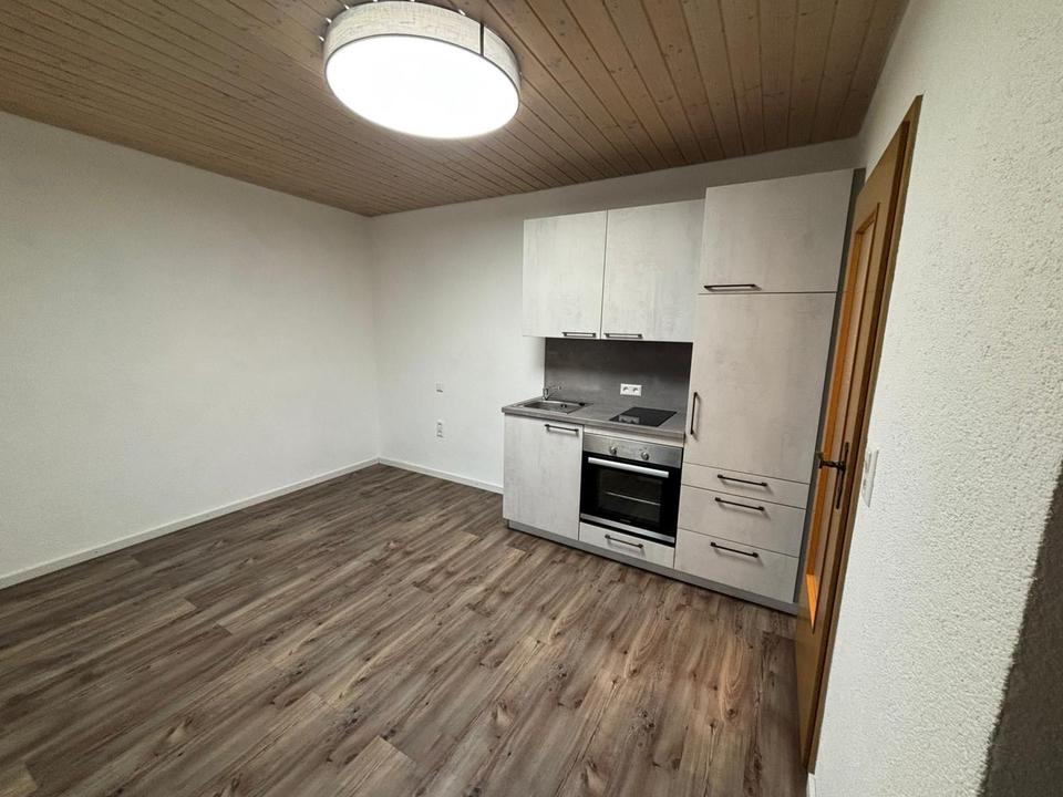 Thumbnail-Einzimmerapartment