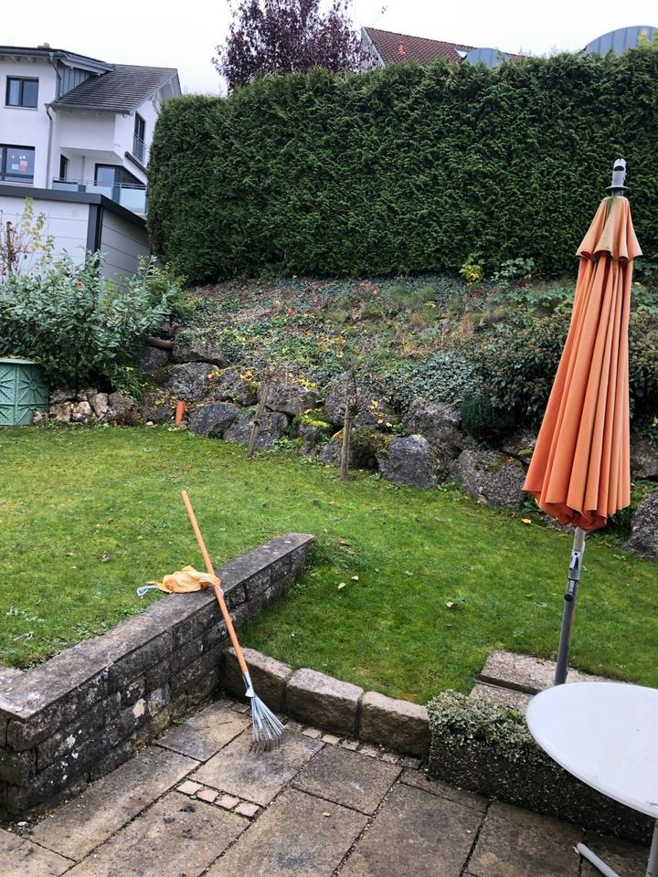 Thumbnail-Schon Wohnung zum vermieten