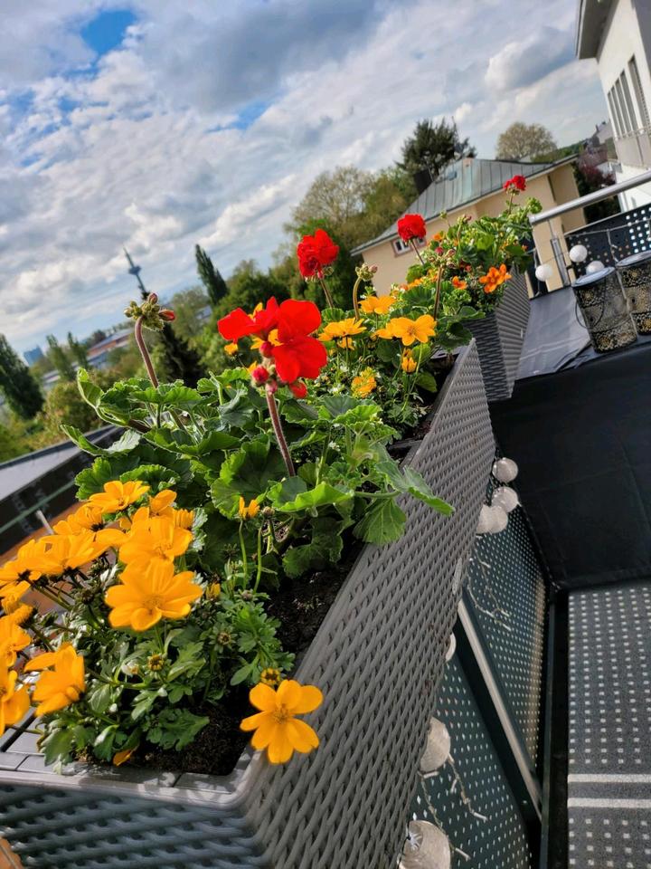 Thumbnail-Penthouse, Wohnung, 3. Zi., Neubau, Heddernheim