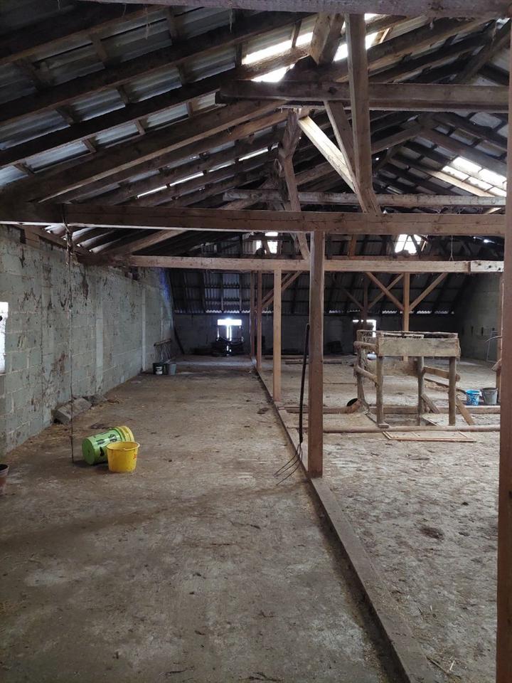 Thumbnail-Entwicklungsobjekt, 2 Wohnhäuser, Stall, Halle, Nutzfläche Wiesen