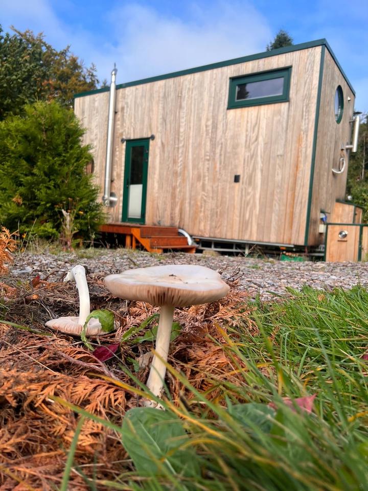 Thumbnail-TinyHouse hohe Qualität, exklusives Design, gemütlich, mobil