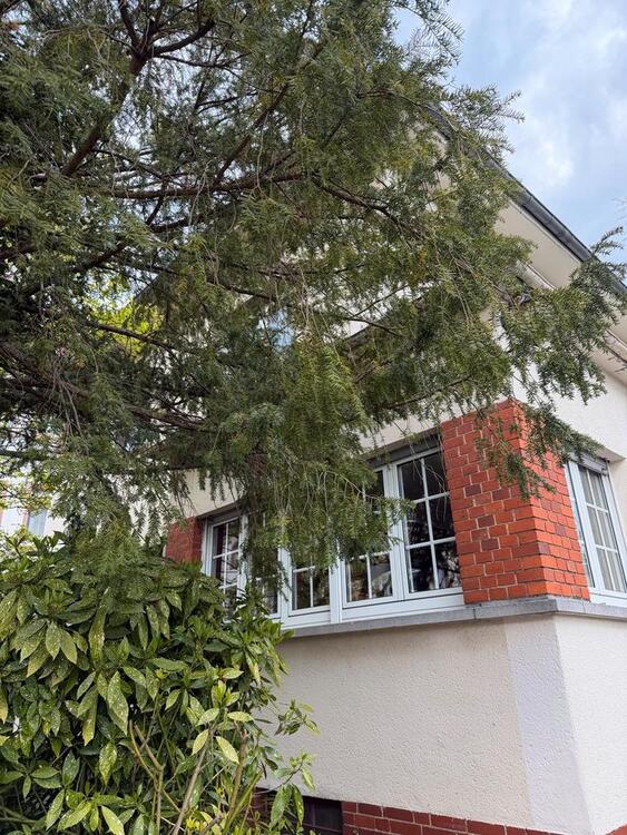 Thumbnail-Freistehendes Einfamilienhaus in bester Lage in Neu Isenburg