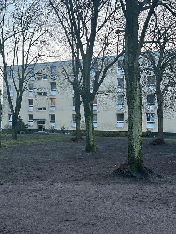 Thumbnail-Wohnung, EG, links, Dresdener Ring 39