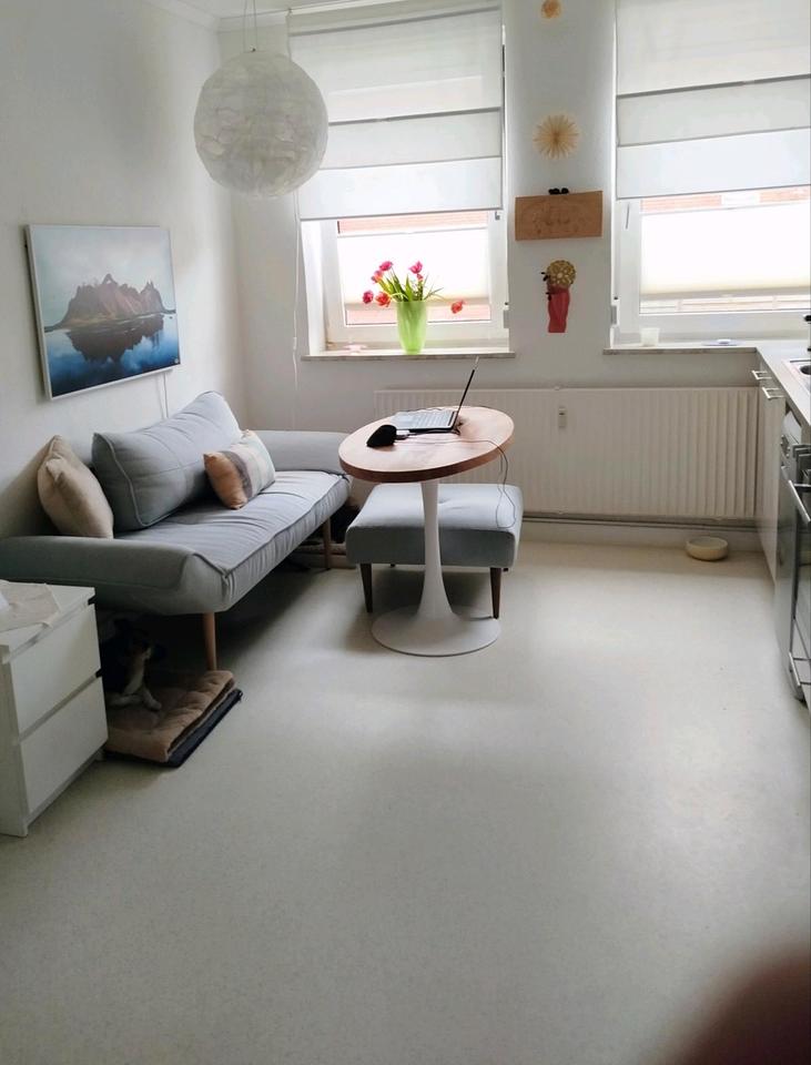 Thumbnail-Wohnung auf Zeit mit Hund im Juli