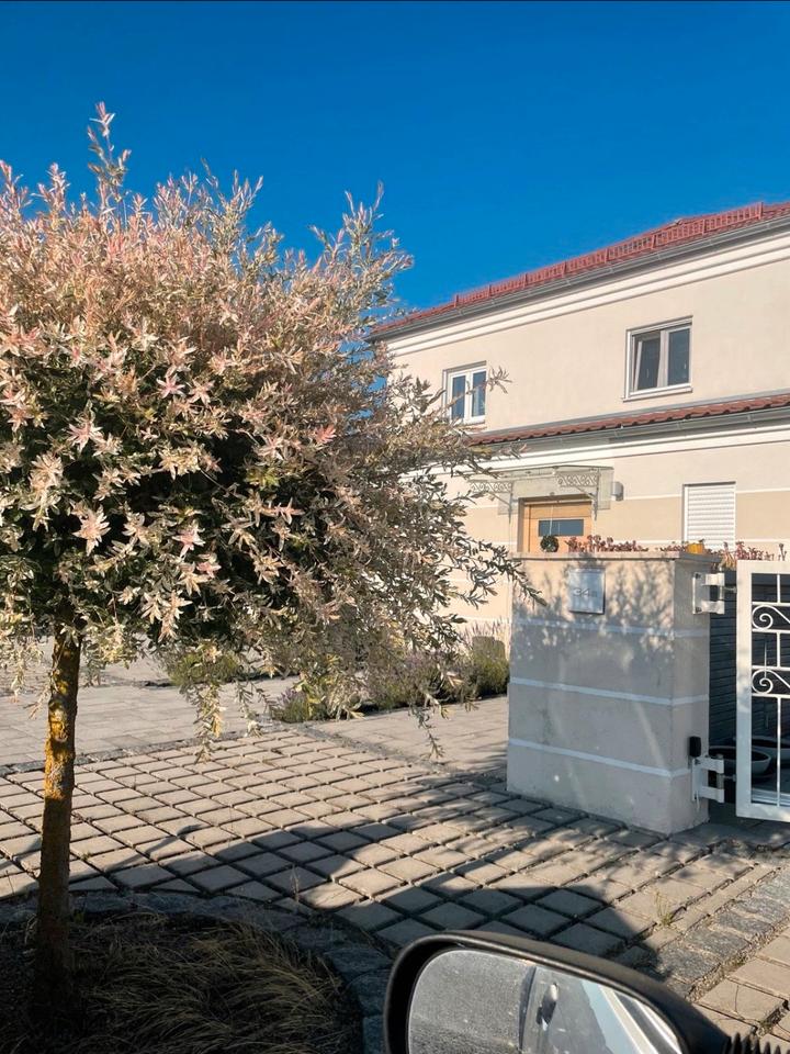 Thumbnail-Wohnung zum Wohlfühlen, sehr gute Verkehrsanbindung