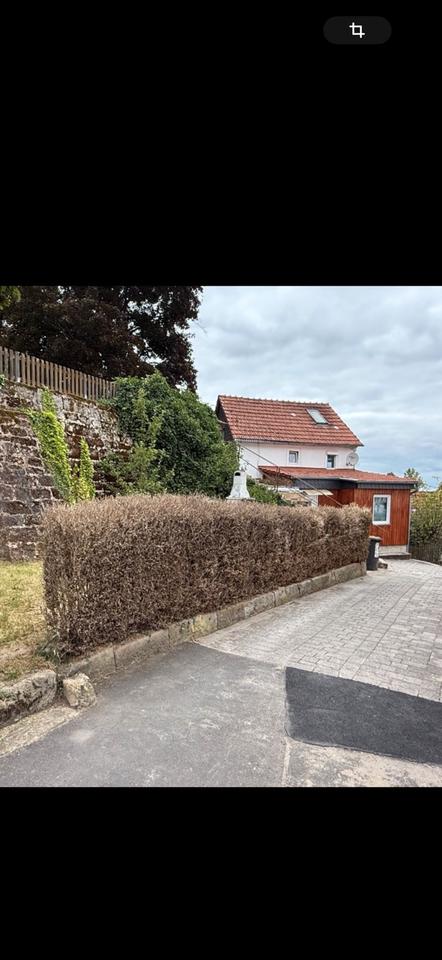 Thumbnail-Kleines Fachwerkhaus zum Verkauf im Lahntal Goßfelden