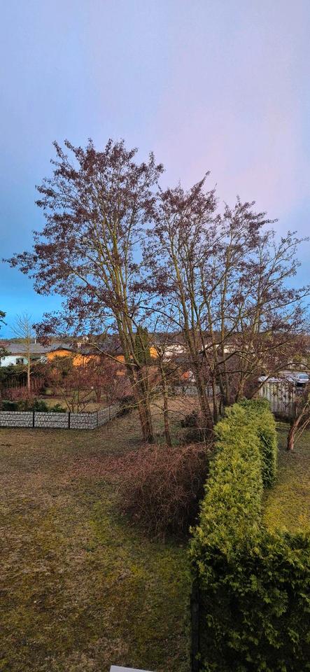 Thumbnail-Biete 3 Raumwohnung an mit Balkon