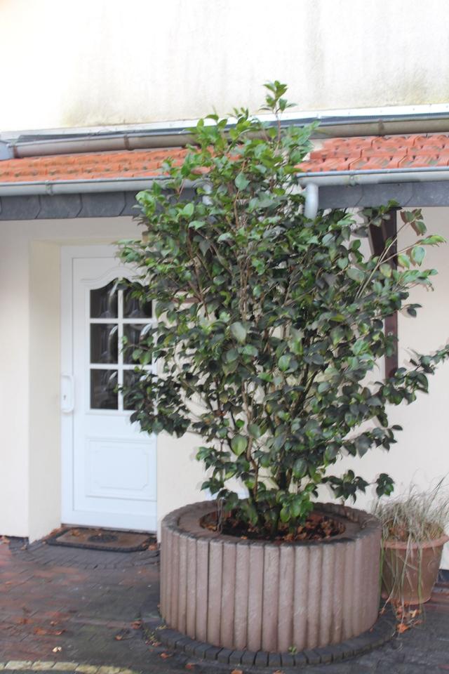 Thumbnail-Hochwertiges Haus Wohnung in zentraler Lage von Heidmühle