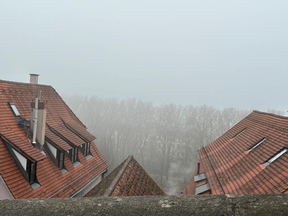 Thumbnail-Zwei Zimmer befristet zu vermieten an Frau