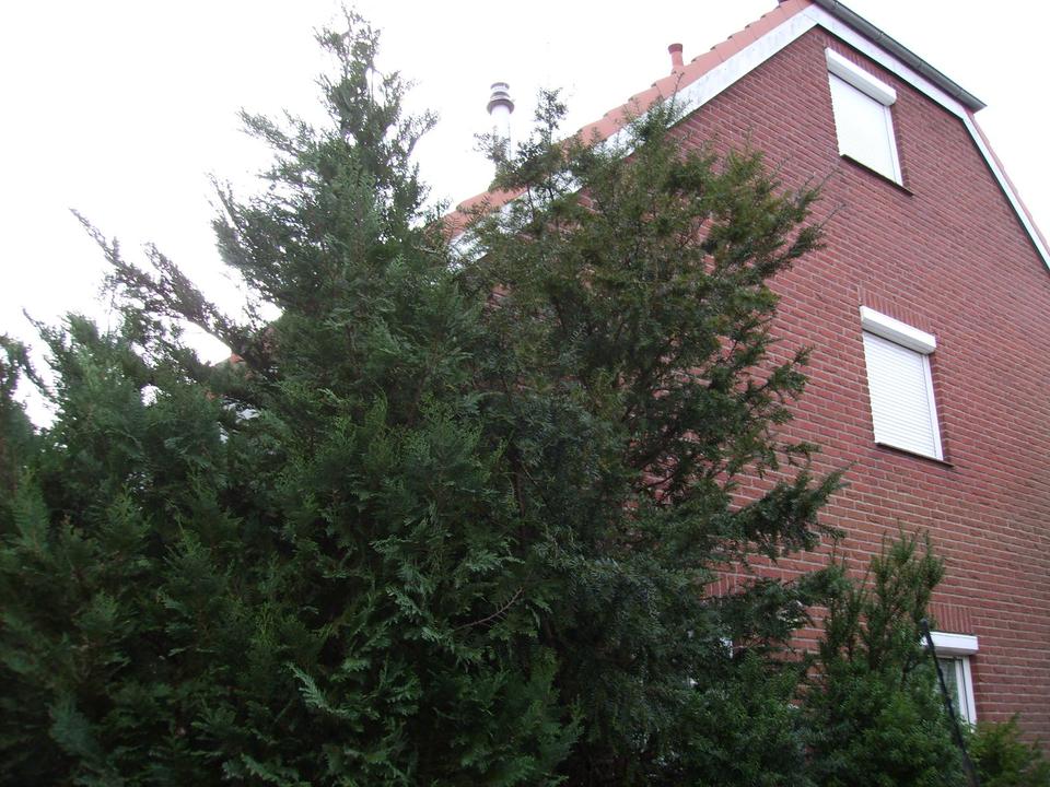 Thumbnail-Doppelhaus-Hälfte in Wismar zu verkaufen