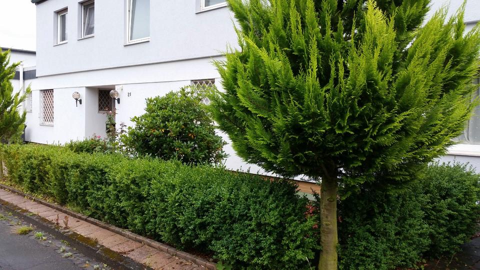 Thumbnail-Wunderschöne 3-Zimmer Wohnung mit Große Bad und Whirlpool