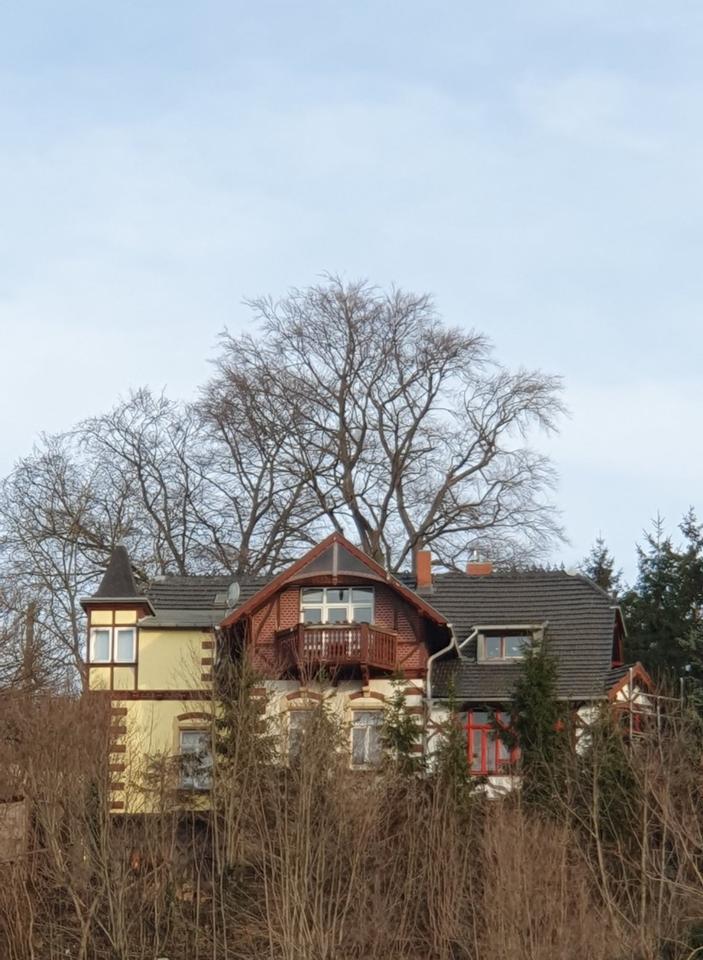 Thumbnail-Villa mit Blick auf die Altstadt von Meißen