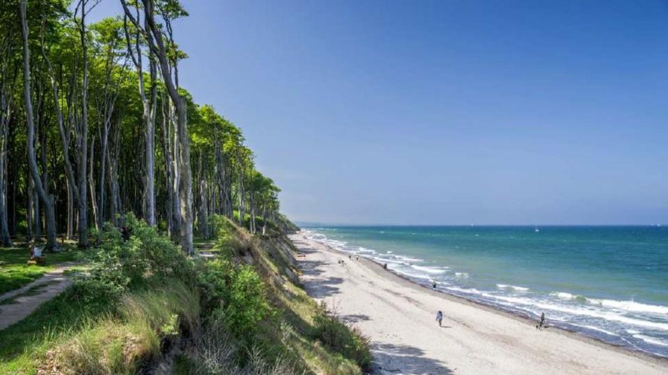 Thumbnail-Ferienhaus Ferienwohnung an der Ostsee zur Miete