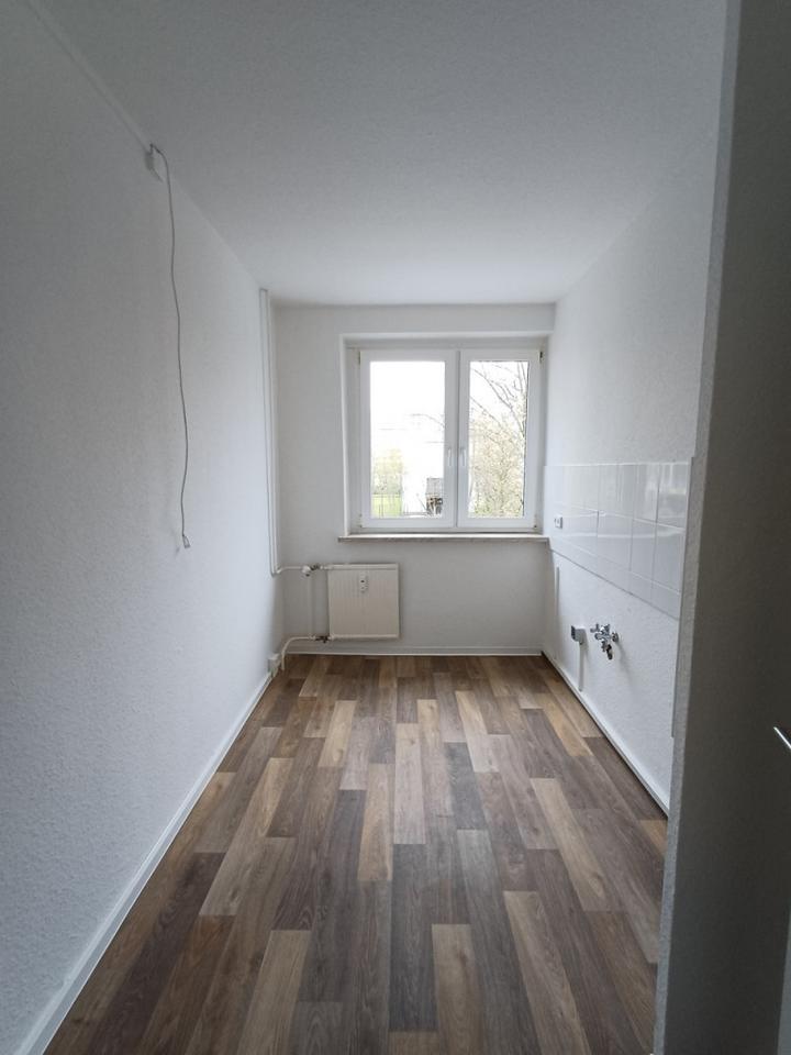 Thumbnail-frisch sanierte 2-Raumwohnung, Küche u. Bad mit Fenster