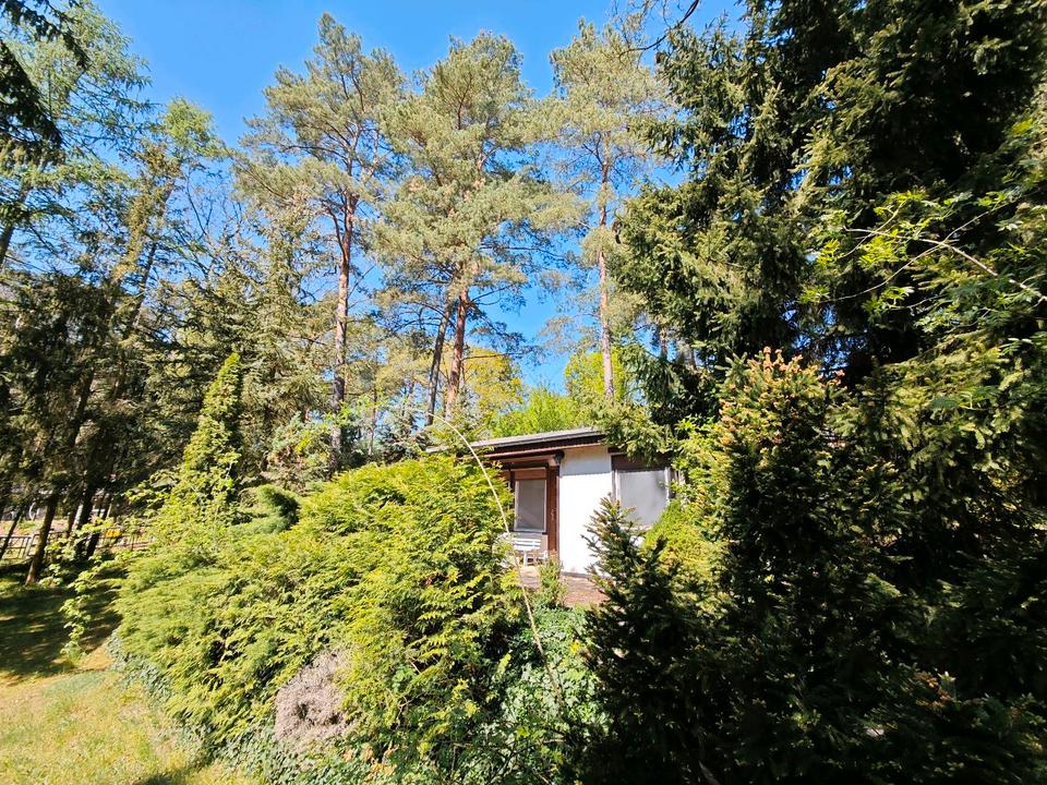 Thumbnail-Pachtgrundstück Bungalow Schorfheide Waldgrundstück Garten