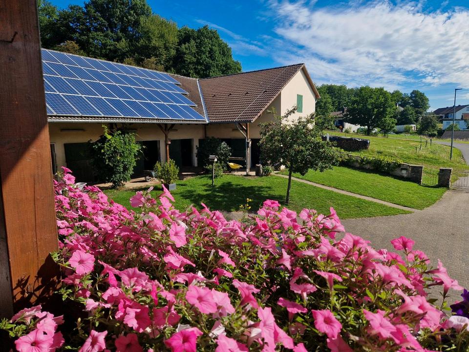 Thumbnail-Pferdehof Bauernhof mit Reitplatz in 55765 Elchweiler