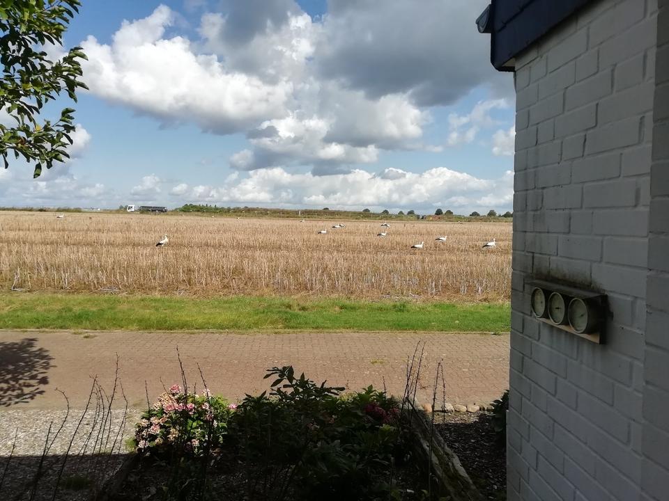 Thumbnail-Provisionsfrei! Familienfreundlich Feldrandlage fast barrierefrei