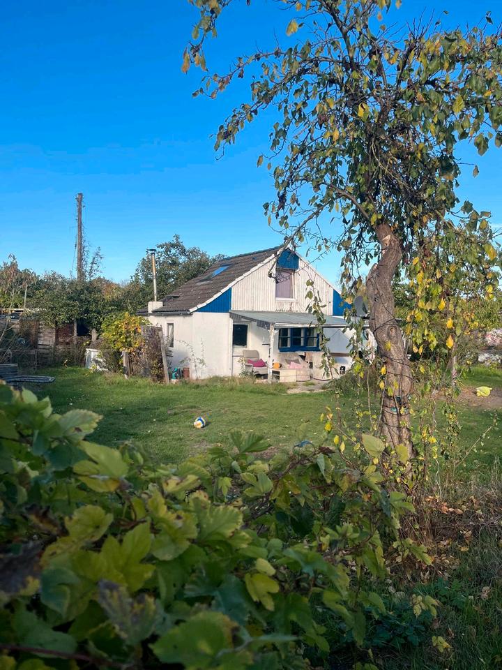 Thumbnail-Kleingarten