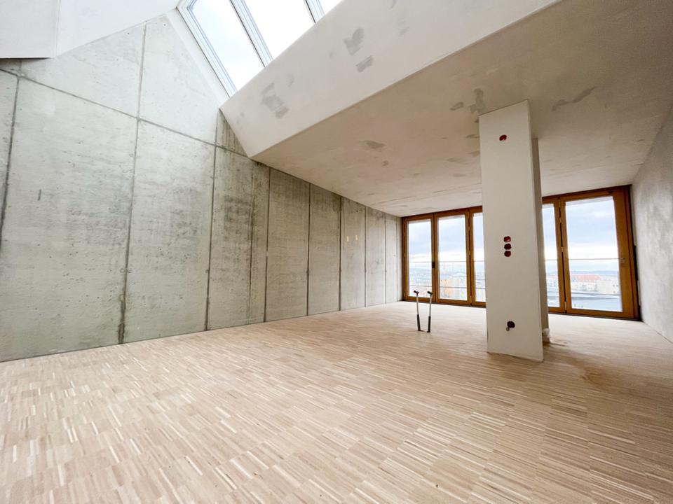 Thumbnail-einzigartige Loftwohnung in der Innenstadt