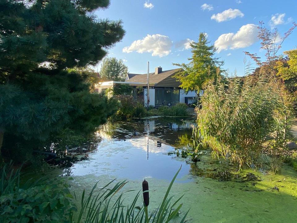 Thumbnail-Exklusiver Schmied-Bungalow in Braunschweig-Wenden zur Miete