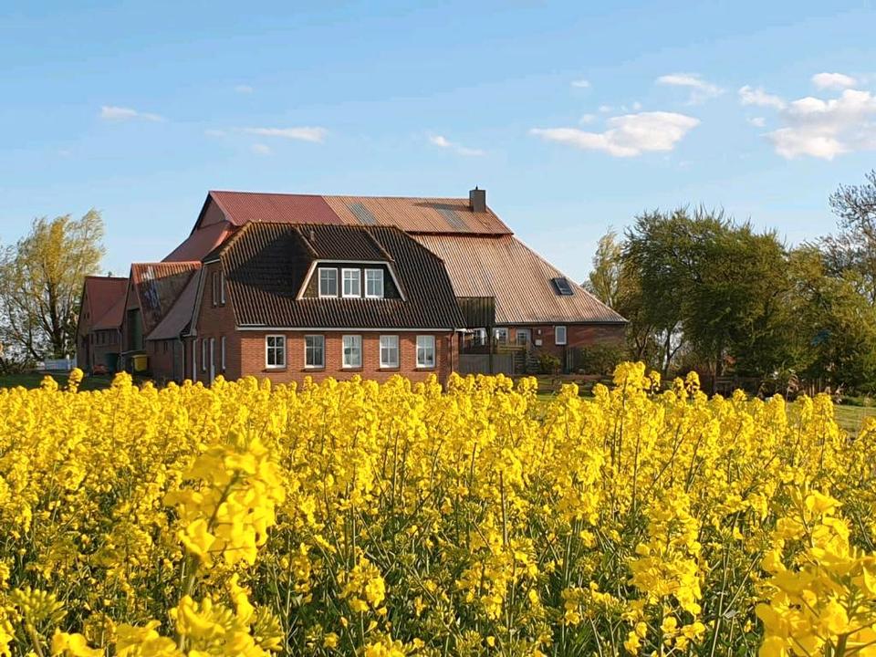 Thumbnail-Ferienwohnung Halbinsel Eiderstedt Nähe St.Peter-Ording