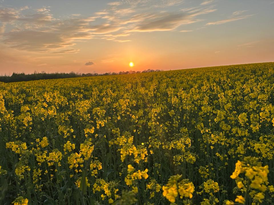 Thumbnail-Wohnung zu verkaufen – ruhig & trotzdem mitten im Leben!