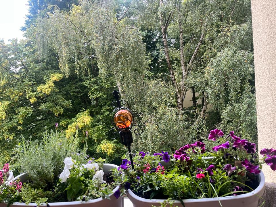 Thumbnail-Frisch renoviertes Zimmer mit großem Balkon