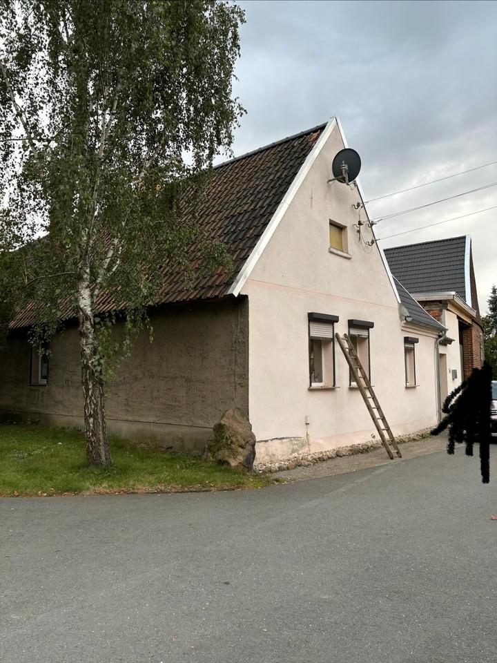 Thumbnail-Einfamilienhaus in Tornau v.d Heide