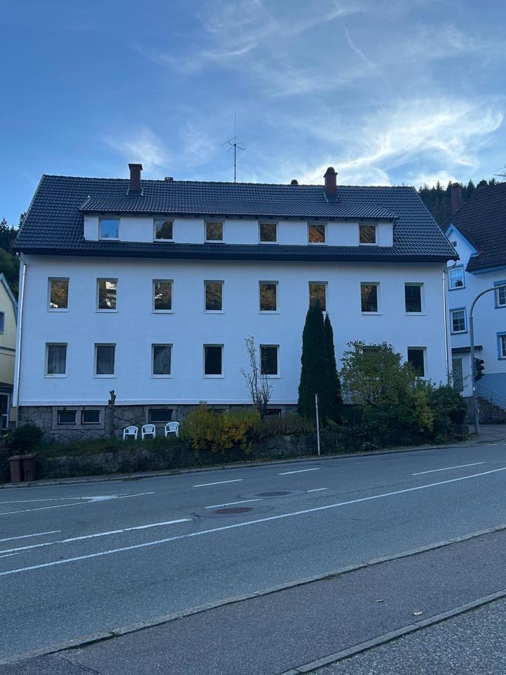 Thumbnail-Renovierte Wohnung, 1. Bezug