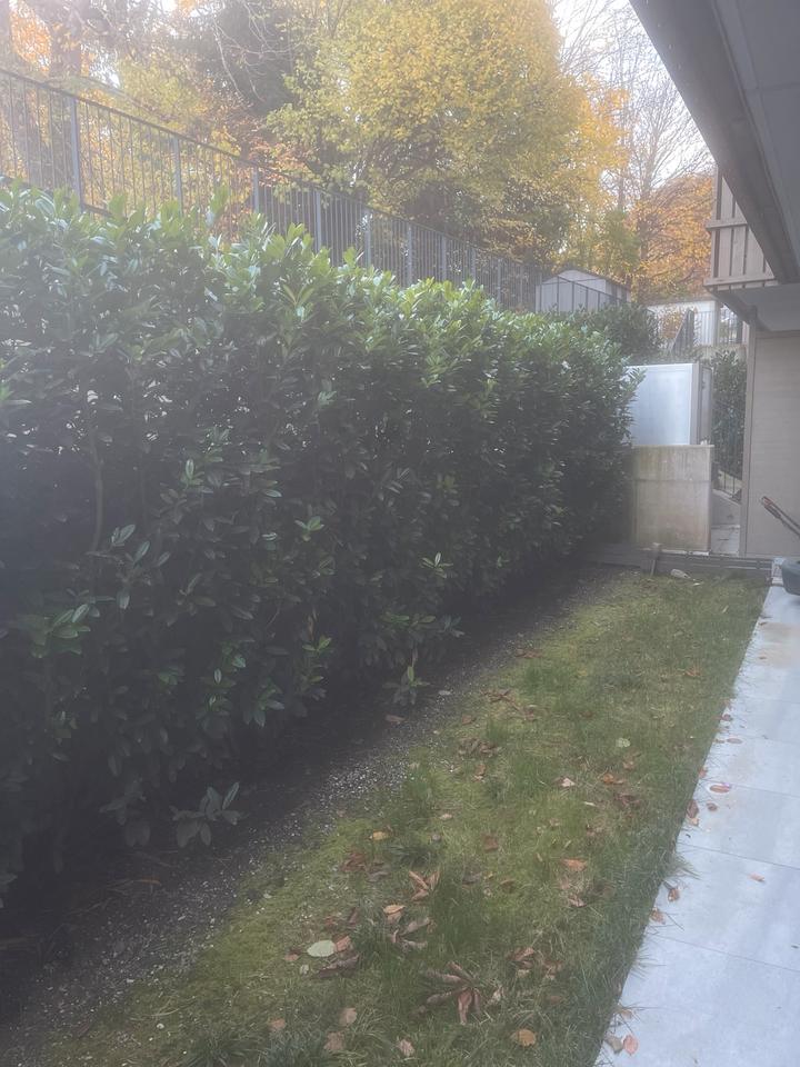 Thumbnail-Nachmieter für Mietwohnung am Tegernsee ab 1.12.2025