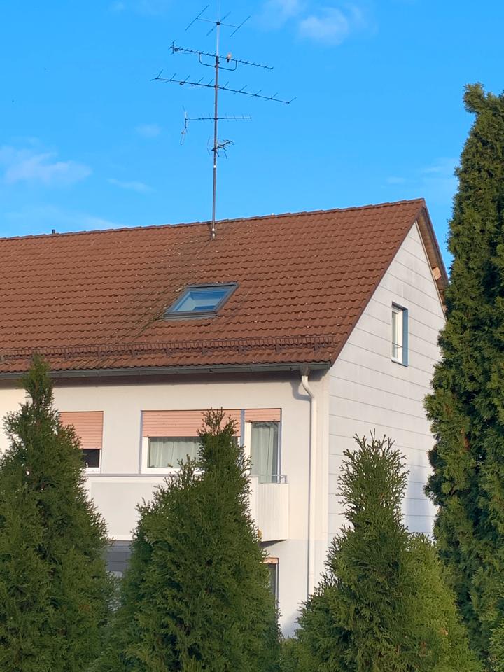 Thumbnail-Lichtvolles, Grünes Reihenendhaus + Garten + Garage München USH