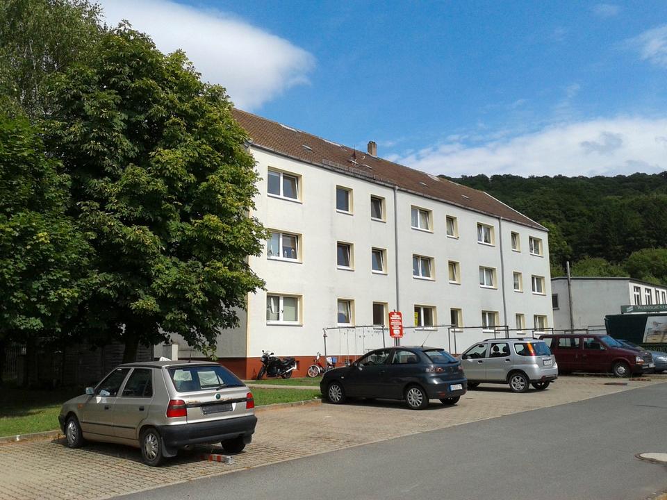 Thumbnail-san. 1Zi.-Whg. mit Wanne, Pkw-Stellpl. in Sgh. Großleinungen