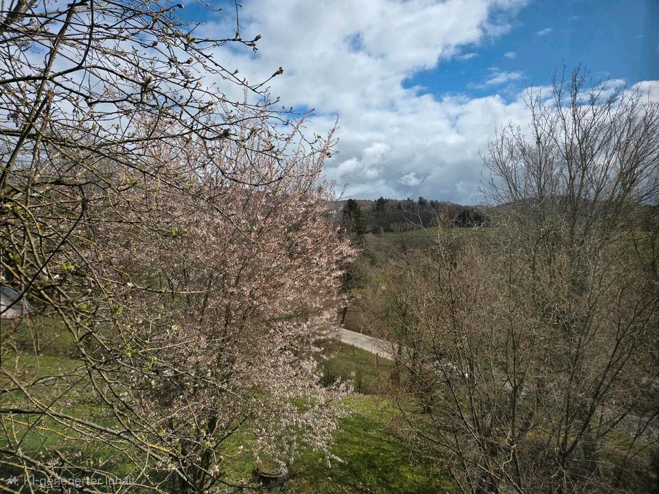 Thumbnail-2 Zimmer Terassenwohnung