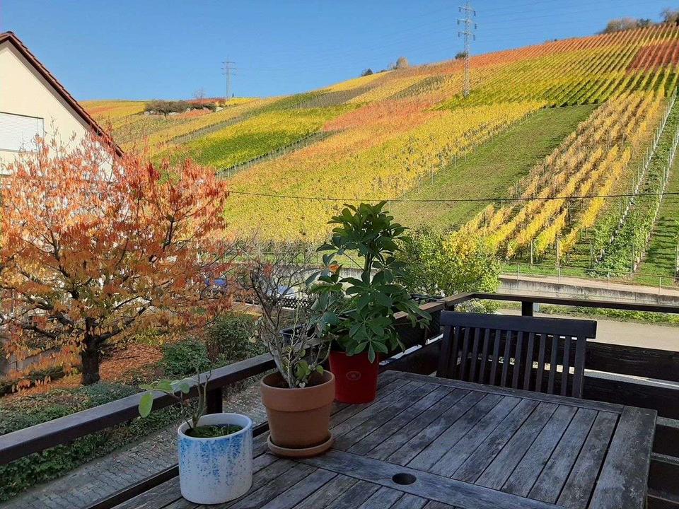 Thumbnail-Teilmöblierte 2-Zimmer Wohnung in den Weinbergen