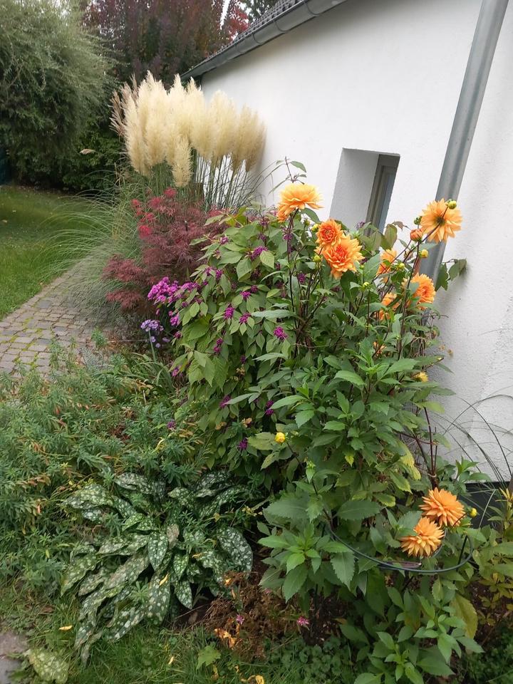 Thumbnail-ferienhaus ferienwohnung dresden freie Termine April