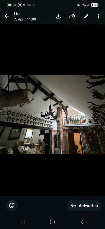 Thumbnail-Resthof, Jagdhaus, Haus mit Garten