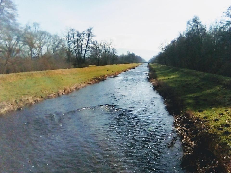 Thumbnail-1 Zimmer Wohnung in March bei Freiburg